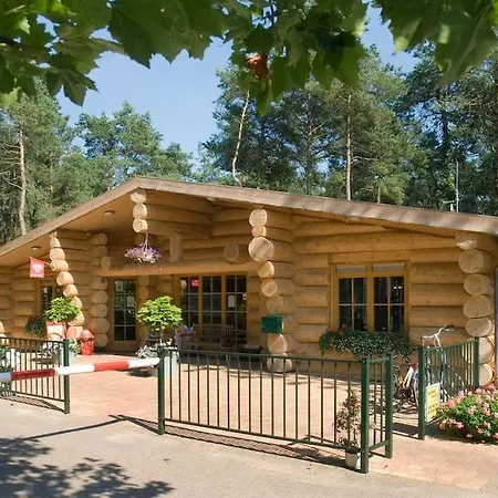 Knus Boschalet Met Veel Privacy Op De Veluwe Doornspijk