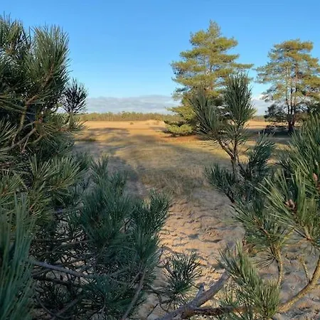 Chalet Knus Boschalet Met Veel Privacy Op De Veluwe Doornspijk