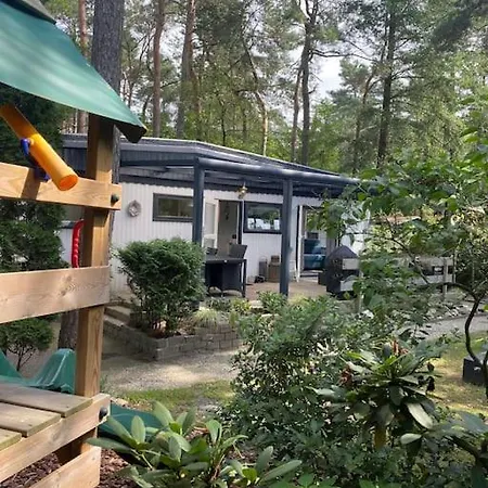Knus Boschalet Met Veel Privacy Op De Veluwe Chalet