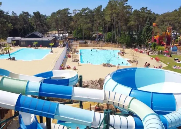 شاليه Knus Boschalet Met Veel Privacy Op De Veluwe Doornspijk