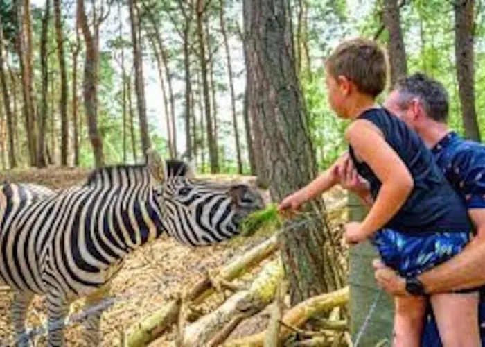 Knus Boschalet Met Veel Privacy Op De Veluwe * Doornspijk