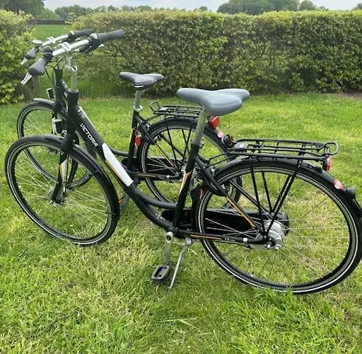 Knus Boschalet Met Veel Privacy Op De Veluwe شاليه *