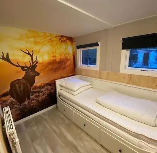 Alpstuga Knus Boschalet Met Veel Privacy Op De Veluwe *