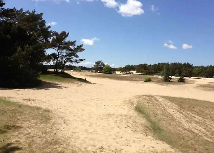 Alpstuga Knus Boschalet Met Veel Privacy Op De Veluwe Doornspijk