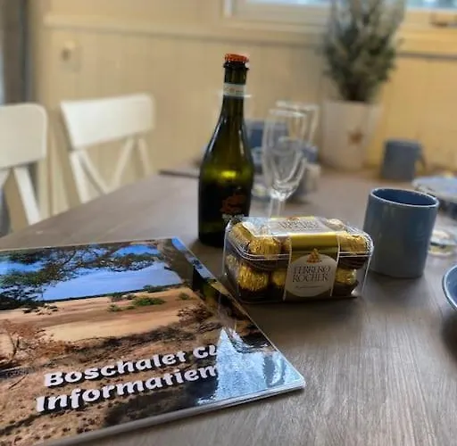 Knus Boschalet Met Veel Privacy Op De Veluwe * Doornspijk