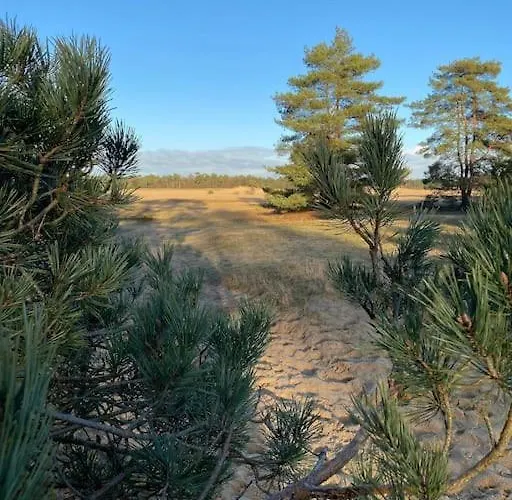 Alpstuga Knus Boschalet Met Veel Privacy Op De Veluwe Doornspijk