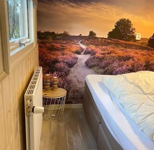 Knus Boschalet Met Veel Privacy Op De Veluwe